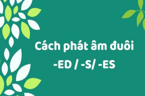 Cách phát âm đuôi ED, S, ES trong tiếng Anh giao tiếp chuẩn